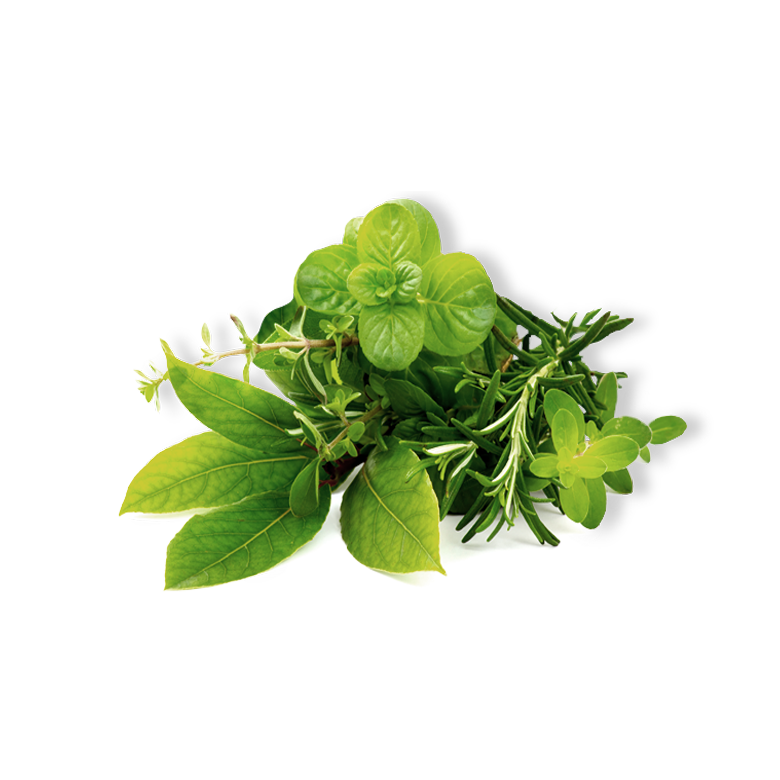 Dried herbs prepared for commercial supply