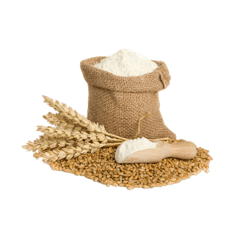 Seeds and grains representing prepared agricultural supply