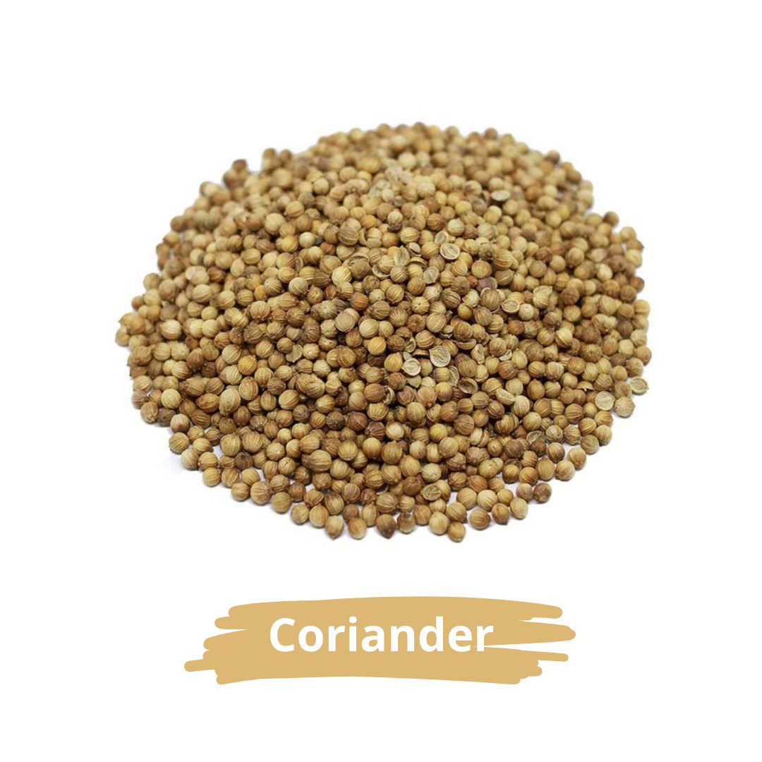 Coriander seeds illustrating visual product inspection