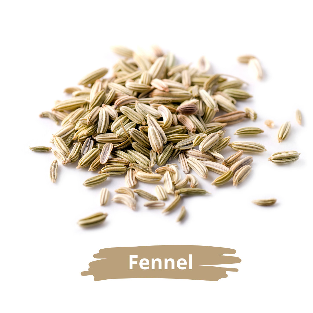 Fennel Seeds