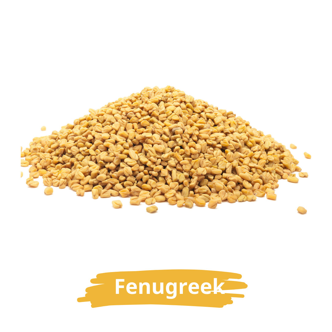 Fenugreek Seeds