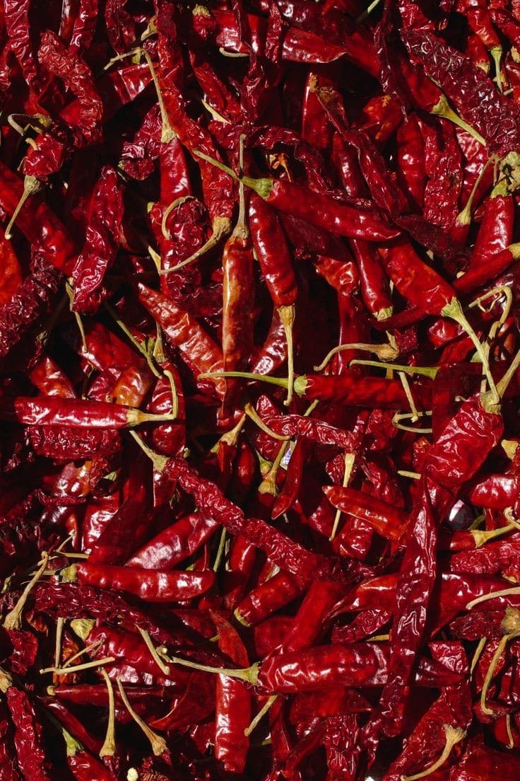 Horns Chili