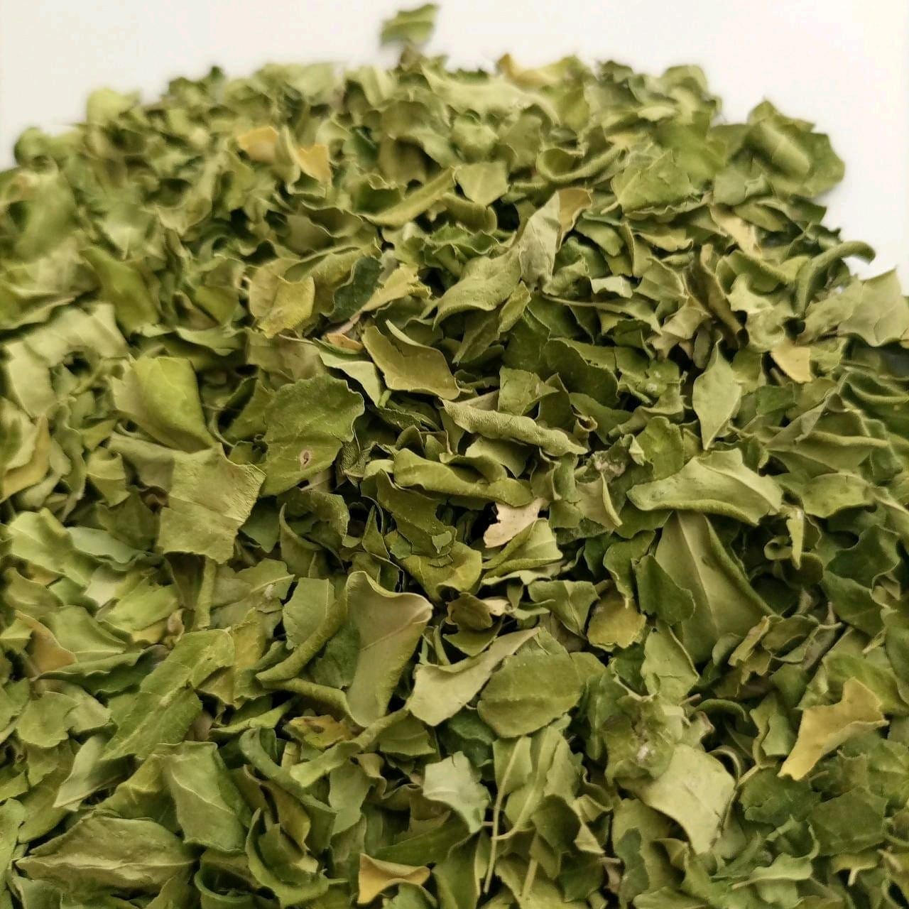 Moringa Leaves