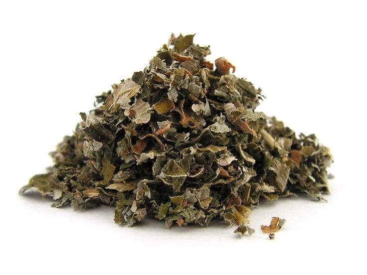 Mulberry Leaves