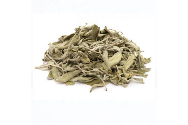 Sage Leaves