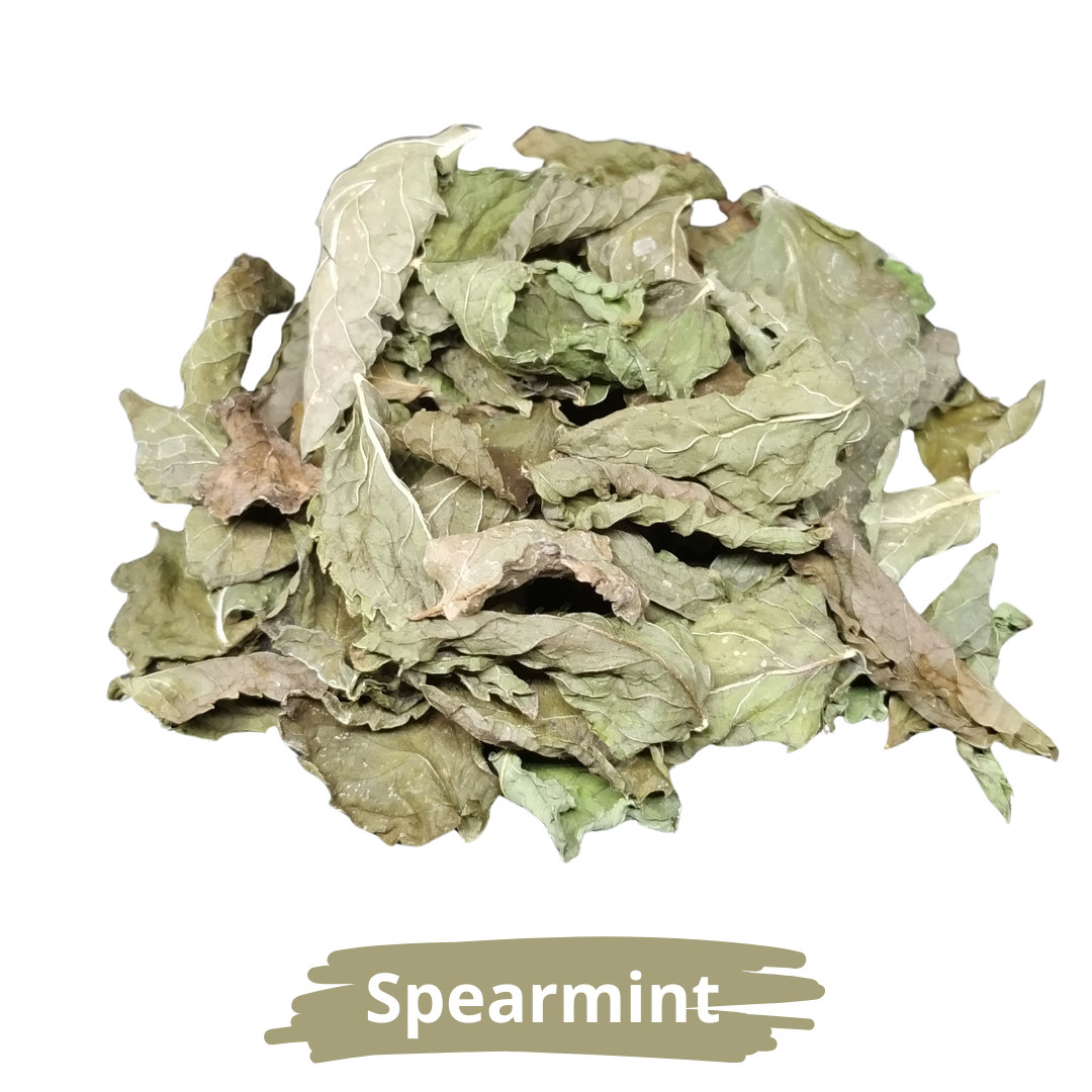 Spearmint Leaves