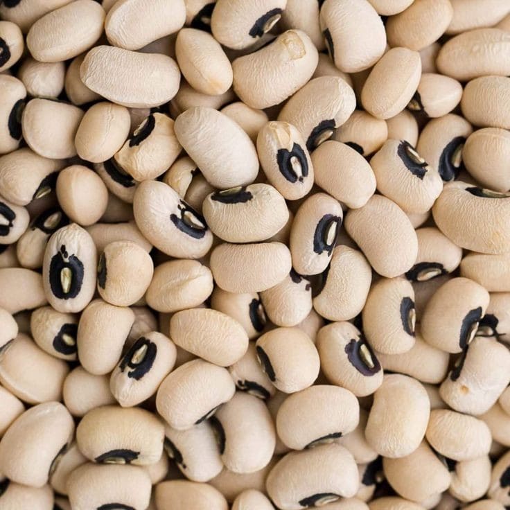 Vigna Beans